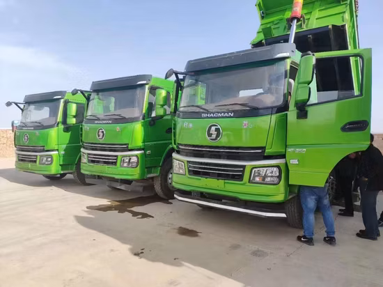 Shacman /H3000/F3000/6X4/8X4 Самосвал/Специальный грузовик